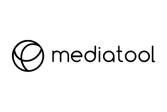 Mediatool: Developing An Organic Traffic Strategy