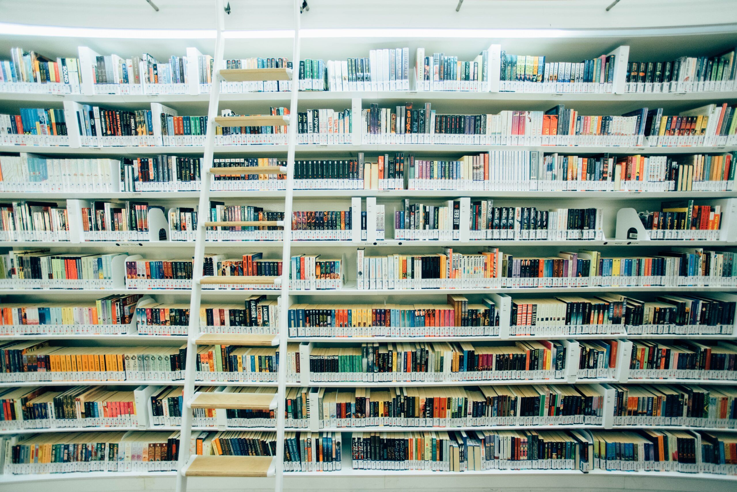 How to Build a Content Library | Linguakey Blog | Library